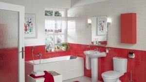 Santek toilets: characteristics and advantages of the collections