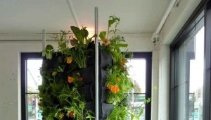 Giardino d'inverno in appartamento: condizioni e caratteristiche della sistemazione