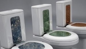 How to choose a toilet seat?
