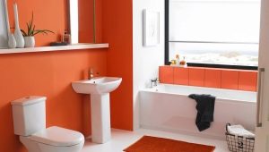 Kylpyhuonemaali: kuinka valita paras vaihtoehto?