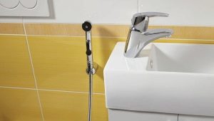 Regole per la scelta di un annaffiatoio per una doccia igienica: tipi di design e loro caratteristiche