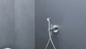 Eine hygienische Dusche installieren: eine Schritt-für-Schritt-Anleitung