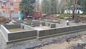 Erection of a monolithic foundation: expert recommendations