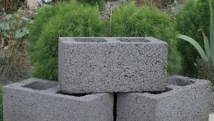 Costruiamo una casa da blocchi di cemento argilla espansa