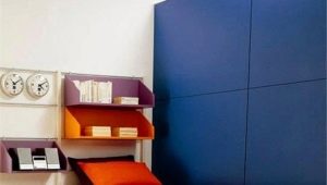 Pull-out beds for two children: design features and tips for choosing