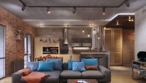 Design kuchyně-obývací pokoj o rozloze 20 m2. m