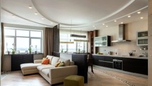Keuken-woonkamer ontwerp met een oppervlakte van 30 m². m: planning en bestemmingsplannen