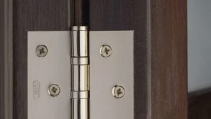 Door hinges: types, features of selection and installation