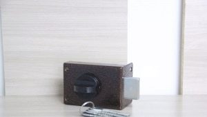 Cum să alegi și să instalezi încuietori suspendate pentru ușile din lemn?