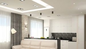 Opciones de diseño de interiores para la cocina-sala de estar.