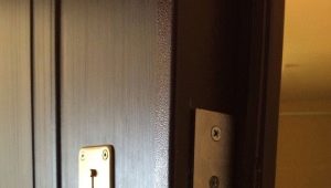 Einsteckschlösser für Stahltüren: Gerät, Typen und Installation