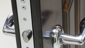 Cerraduras para puertas metálicas: tipos, consejos para la instalación y el funcionamiento.