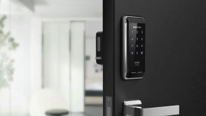 Electronic door lock: features of selection and operation