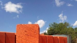 Characteristics and features of brick M125