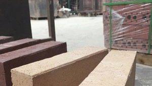 Clay brick: composition, properties and production technology