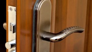 Cerradura de puerta embutida: características de selección e instalación.