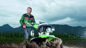 How to choose a cultivator?