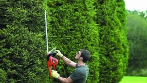 Features of electric brush cutters