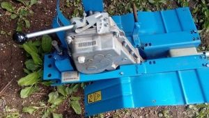 Untersetzungsgetriebe für handgeführte Neva-Traktoren: Gerät und Wartung