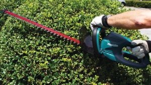 All about Makita brushcutters
