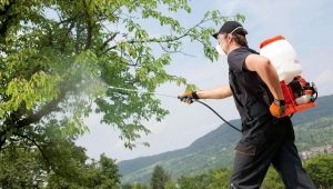 All about cordless sprayers