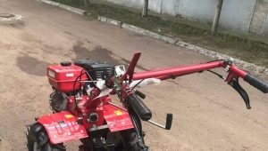 Auswahl und Bedienung von Kartoffelbaggern für einen handgeführten Traktor