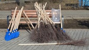Birch brooms: characteristics, advantages and disadvantages