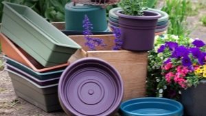 Flower pots: types and recommendations for choosing