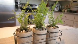 Holders for flowers in pots: features, types and selection criteria