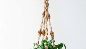 Macrame cache-pot: features and instructions for making