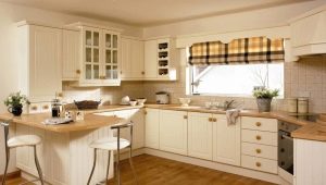 Ortada pencereli mutfaklar: özellikler, düzen ve tasarım
