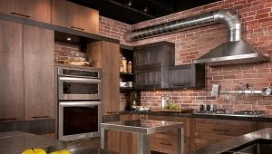 Keuken in loftstijl: ontwerpopties en ontwerpkenmerken