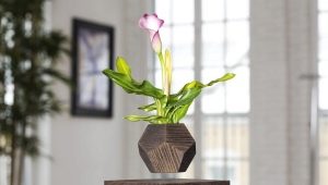 Maceta levitante para flores de interior: características y principio de funcionamiento.