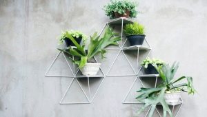 Vægpotter til blomster: typer, design og tips til valg
