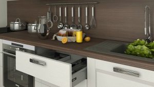 Features and subtleties of the selection of plastic countertops for the kitchen