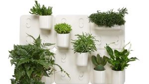 Features of wall planters for flowers