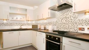 Mosaic tiles for the kitchen on the apron: features, types and design tips