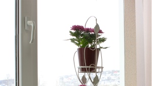 Supports pour fleurs sur le rebord de la fenêtre: caractéristiques et types