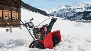 Snow blowers MTD: range and tips for choosing