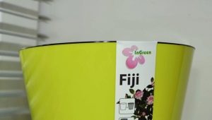 نصائح لاختيار وعاء زهور InGreen Fiji