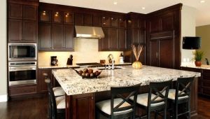 Dark kitchens: color choices and examples in the interior