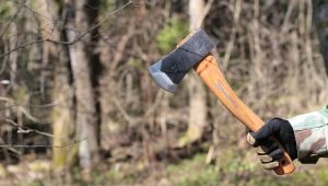 Husqvarna axes: varieties and their features