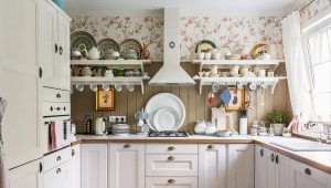 Cozy kitchen: rules and design ideas