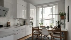 Možnosti designu kuchyně od 17 m2. m