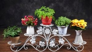 Typy a vlastnosti podlahových kovových stojanů na květiny
