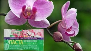 Cytokininová pasta pro orchideje: vlastnosti, pravidla použití a skladování