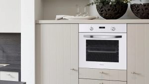 How to choose a Maunfeld oven?