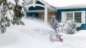 Hoe kies je een sneeuwblazer voor je huis?