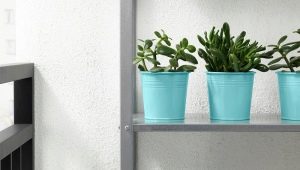 Ikea planters: features, types and use in the interior