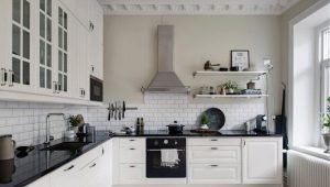 Kitchen design options with an area of ​​16 sq. m